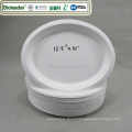 Biodegradable Waterproof Disposable Sugarcane Pulp Oval Takeaway Plate